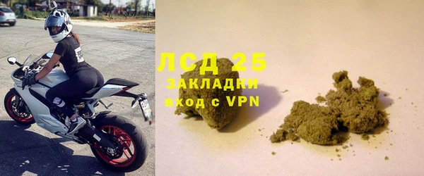 прущие грибы Зеленодольск