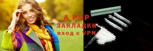 прущие грибы Зеленодольск
