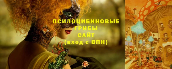прущие крисы Зерноград