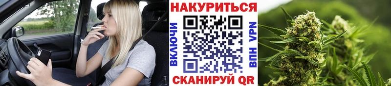 МАРИХУАНА Amnesia Зея