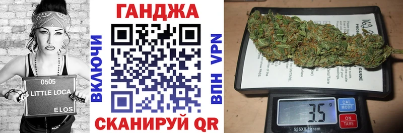 где найти наркотики  Зея  MEGA как зайти  Бошки Шишки сатива 